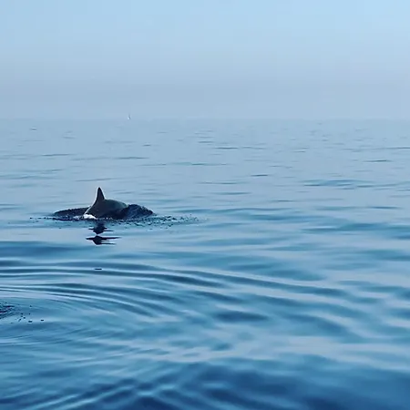 Pieds Dans L'eau Avec Vue Exceptionnelle Apartment