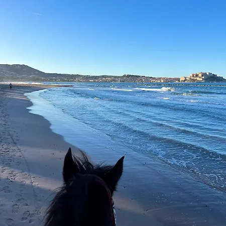 Apartment Pieds Dans L'eau Avec Vue Exceptionnelle Calvi (Corsica)
