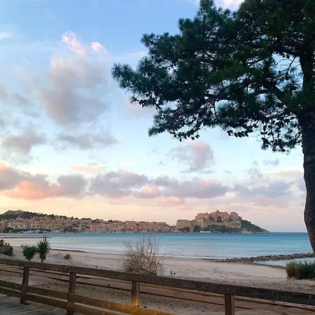 Pieds Dans L'eau Avec Vue Exceptionnelle Apartment Calvi (Corsica)