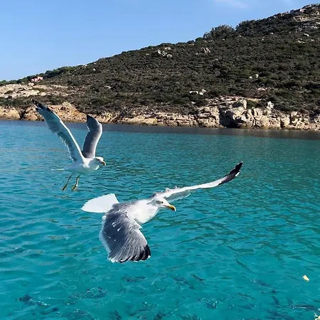 Pieds Dans L'eau Avec Vue Exceptionnelle Кальви